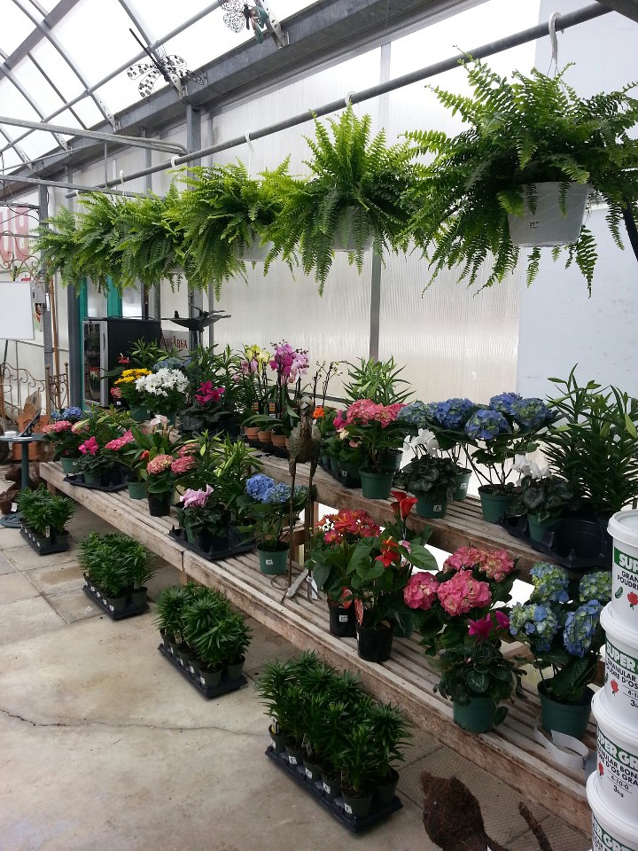 Springwater Garden Center | 13730 Simcoe County Road 27, Phelpston, ON L0L 2K0, Canada | Phone: (705) 322-2389