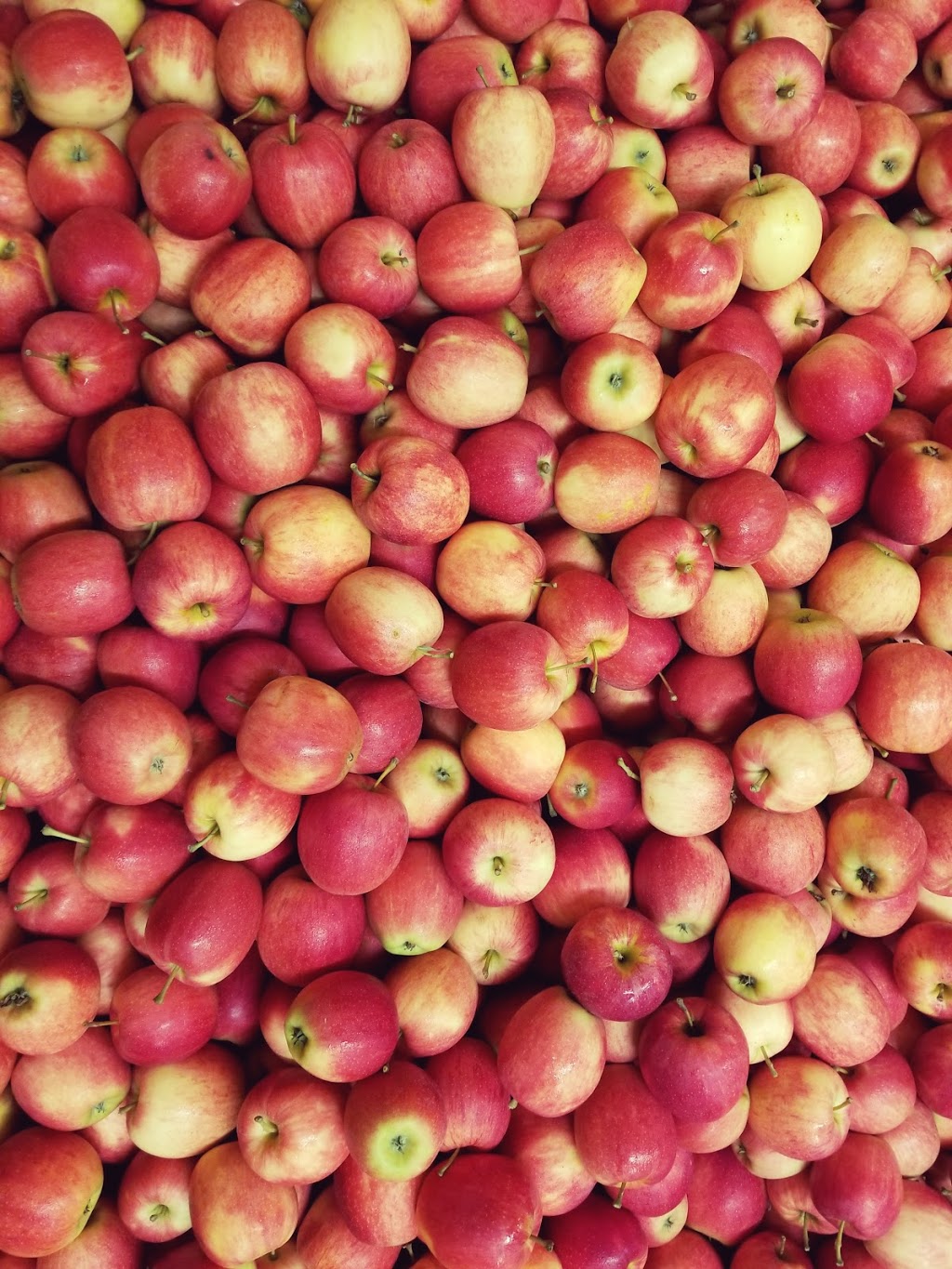 Lincoln Line Orchards | 9764 RR 20, Smithville, ON L0R 2A0, Canada | Phone: (905) 643-2205