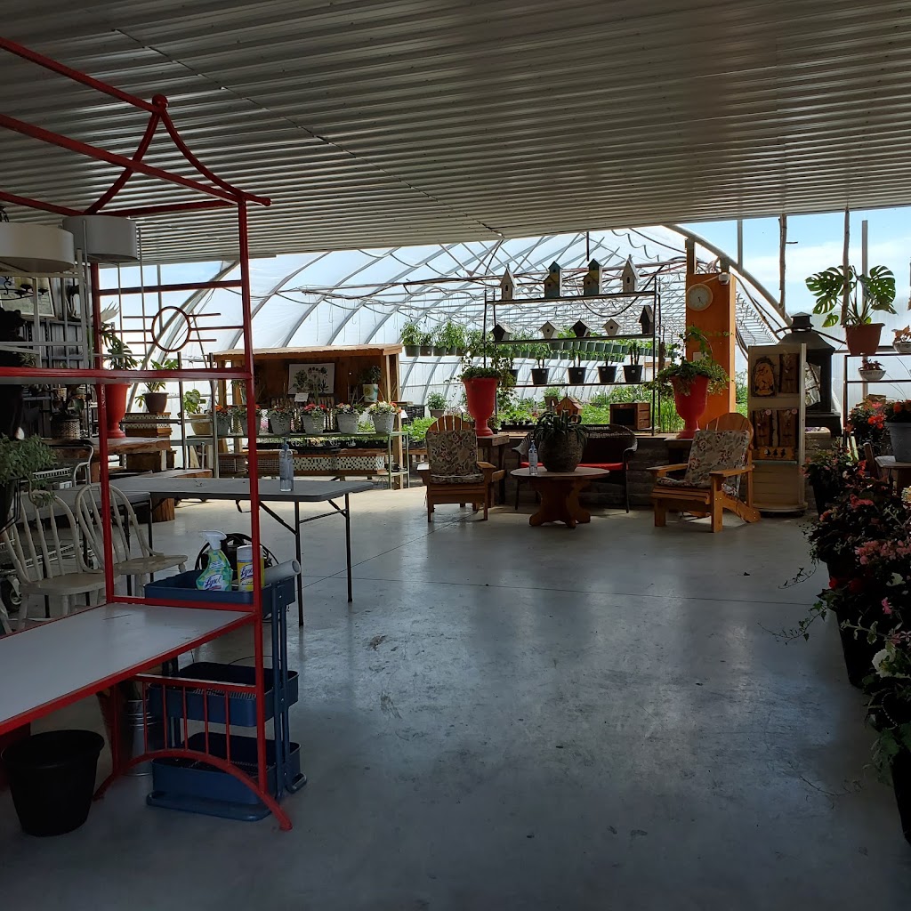 Bison Grow & Greenhouses | 1131TWP RD 545, Bilby, AB T0E 1V0, Canada | Phone: (780) 499-4829