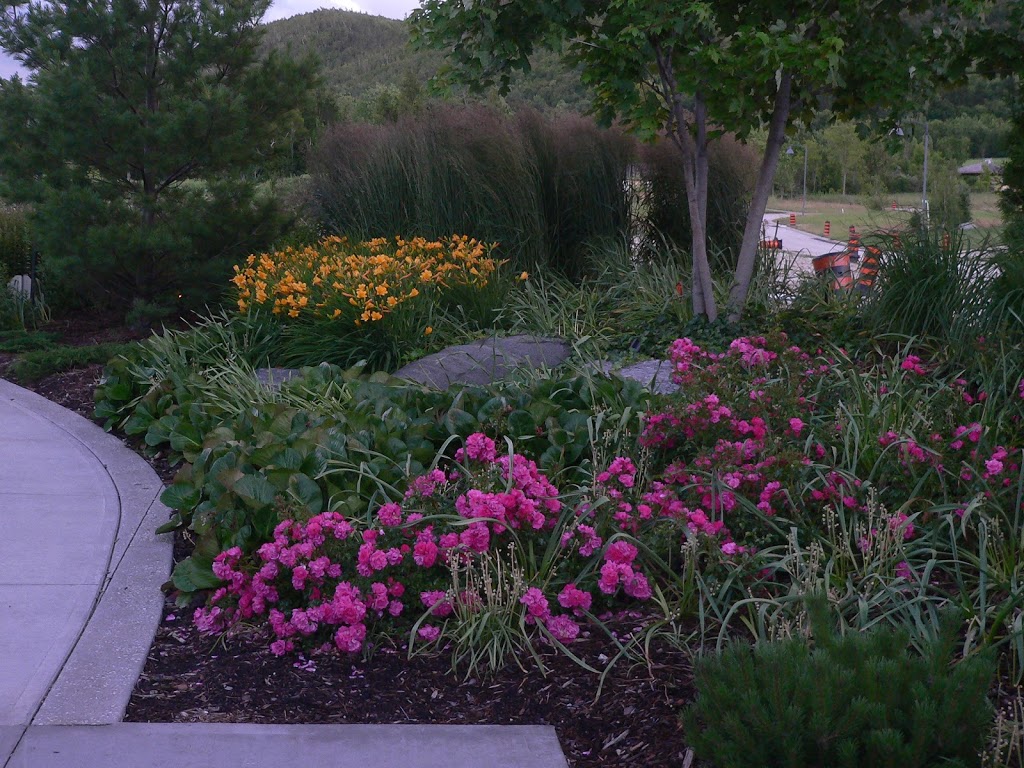 Garden Holistics Inc | 827502 Grey County Rd 40, Clarksburg, ON N0H 1J0, Canada | Phone: (519) 599-1003