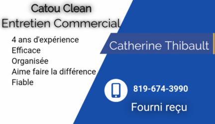 Entretien Commercial | 42 Rue Brown, Windsor, QC J1S 2K8, Canada | Phone: (819) 674-3990