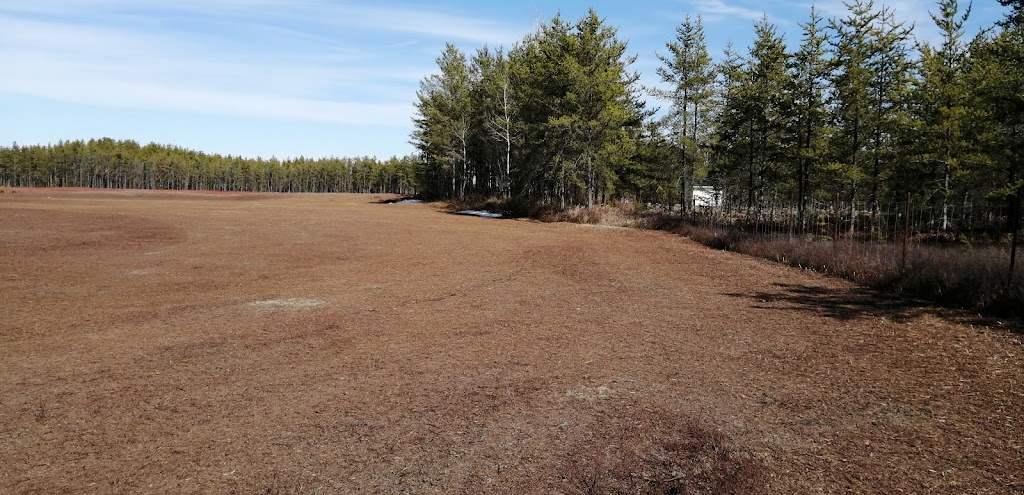 Syndicat Des Producteurs De Bleuets Du Québec | 112 Av. de lÉglise #207, Dolbeau-Mistassini, QC G8L 4P4, Canada | Phone: (418) 276-6336