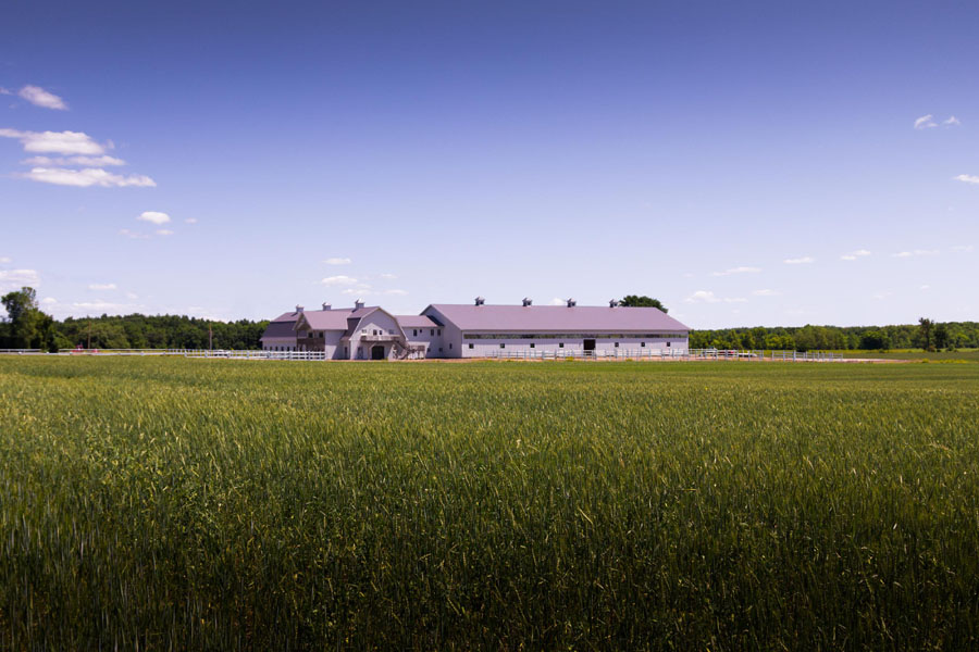 Les Écuries Santos | 510 Chemin du Grand St Charles, Boisbriand, QC J7H 1S1, Canada | Phone: (450) 951-5506