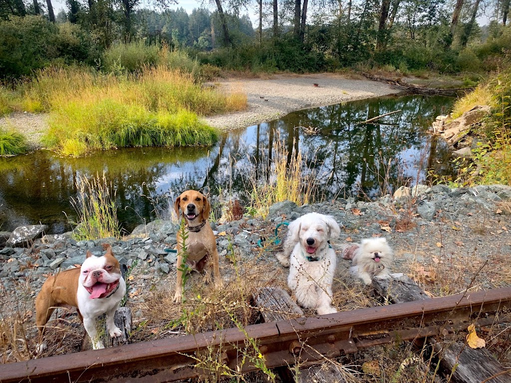 The Common Dog | 13485 Doole Rd, Ladysmith, BC V9G 1G6, Canada | Phone: (250) 889-0286