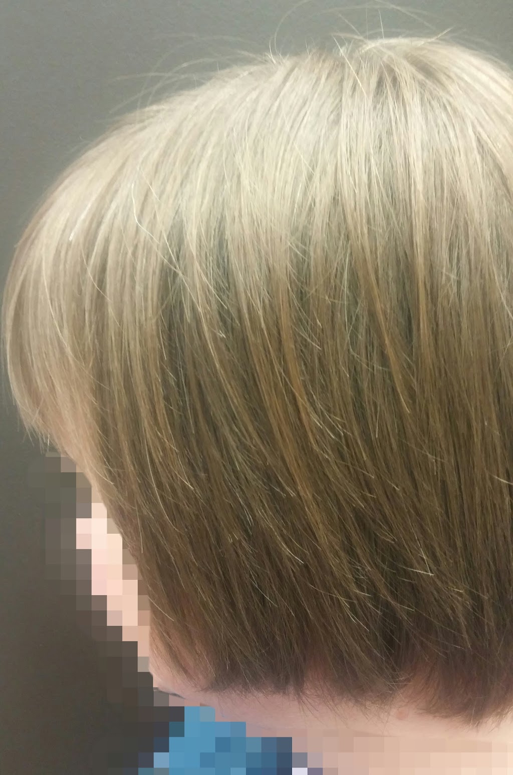 Classica Hair Design | 415 The Westway, Etobicoke, ON M9R 1H5, Canada | Phone: (416) 241-4741