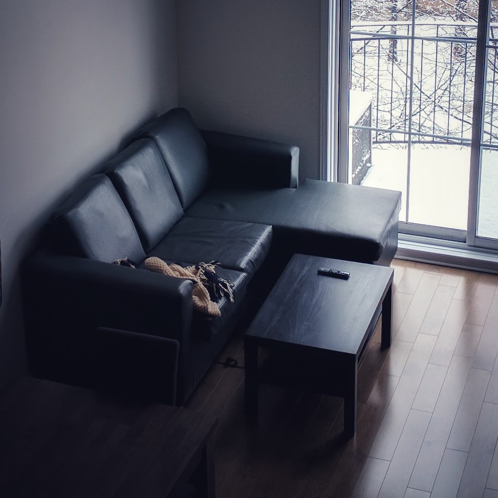 Sofa Montreal | 12300 Bd Albert-Hudon, Montréal-Nord, QC H1G 3K7, Canada | Phone: (514) 325-7892