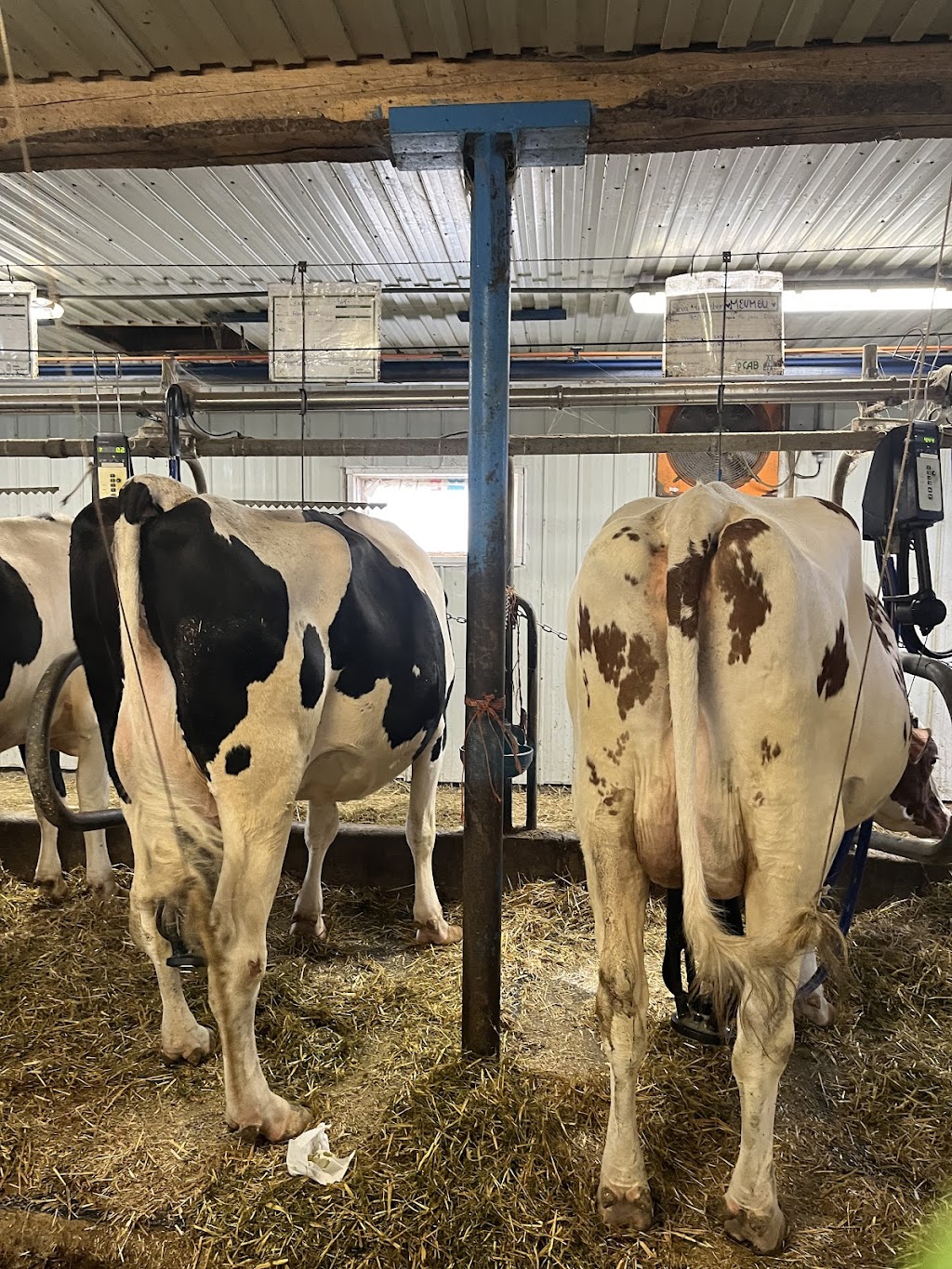 Ferme Séva inc. 44 Rang Ste Marie, Les Éboulements, QC G0A 2M0, Canada