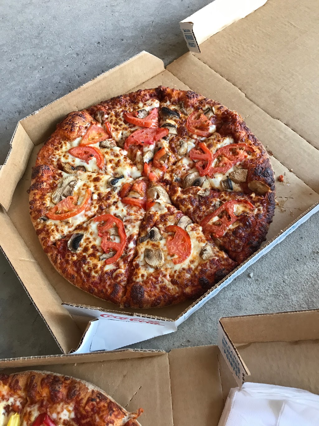 Dominos | 5005 Steeles Ave E Unit #109, Scarborough, ON M1V 5K1, Canada | Phone: (416) 293-0303