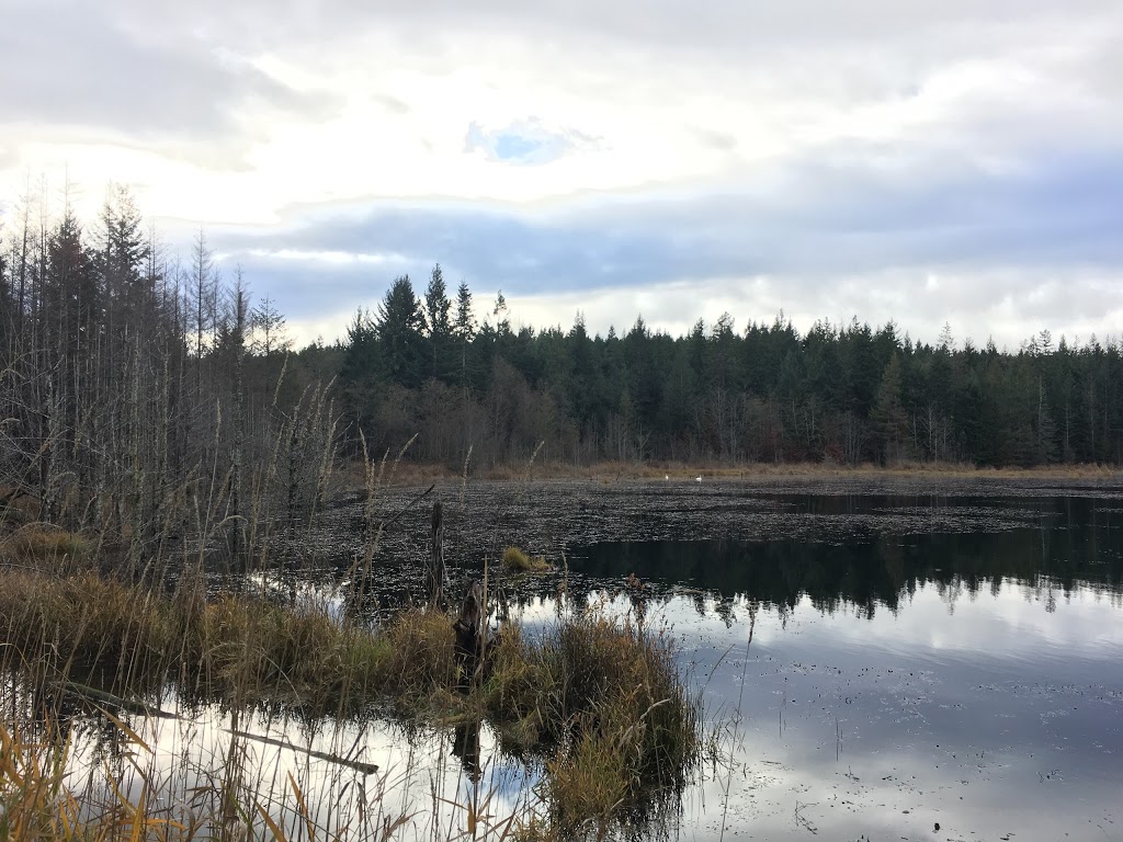 Coats Marsh Regional Park | 908 South Road, Gabriola, BC V0R 1X4, Canada | Phone: (250) 248-3252