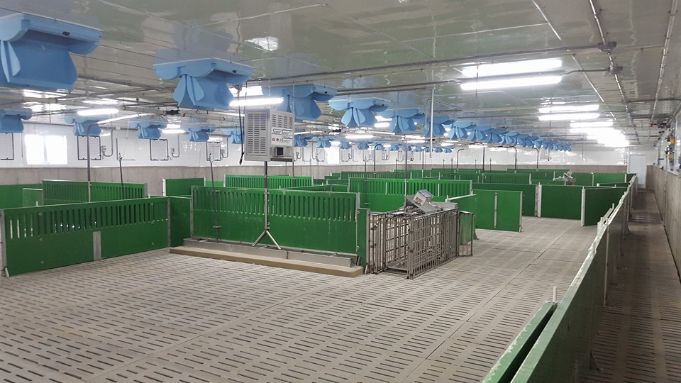 DeWetering Agri | 70016 Hern Line, Woodham, ON N0K 2A0, Canada | Phone: (519) 229-6882