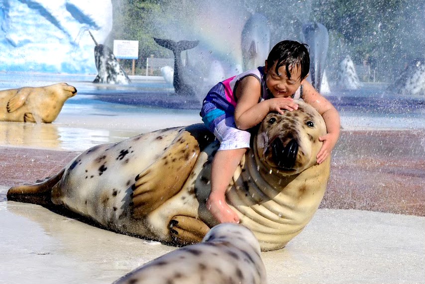 Polar Splash | MarineLand, 7657 Portage Rd, Niagara Falls, ON L2E 6X8, Canada | Phone: (905) 356-9565