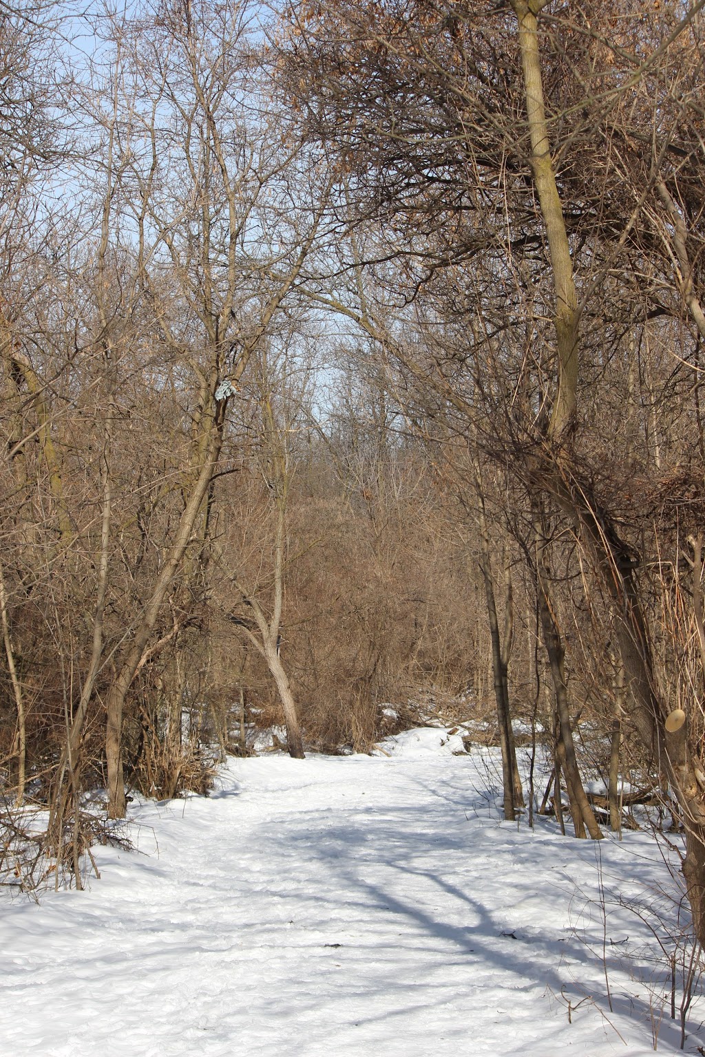 Berry Road Park | 260 Berry Rd, Etobicoke, ON M8Y 1X9, Canada | Phone: (416) 338-4386