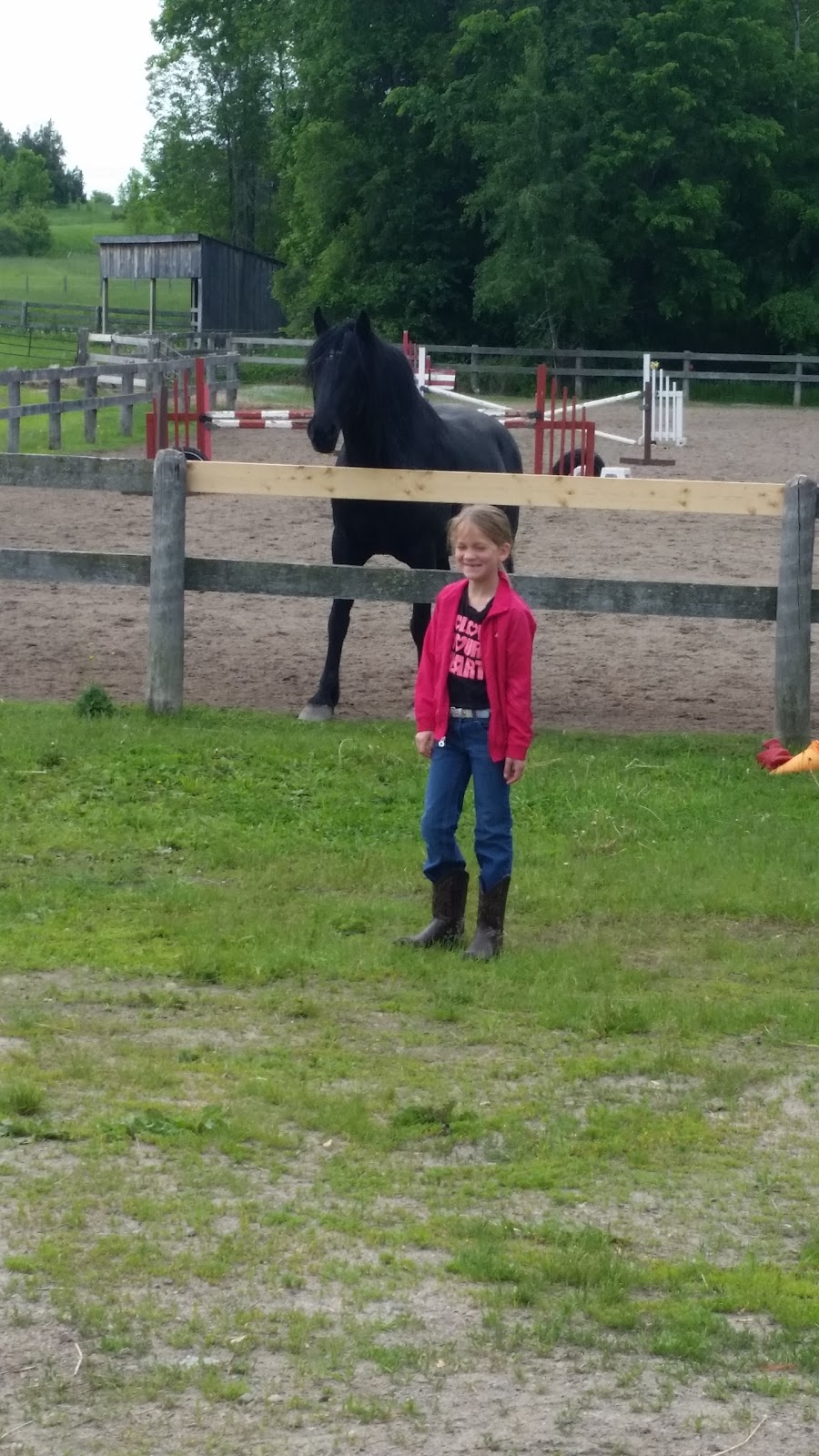 Whitewater Equestrian Centre | 20771 Hwy 17, Pembroke, ON K8A 6W3, Canada | Phone: (613) 633-1331