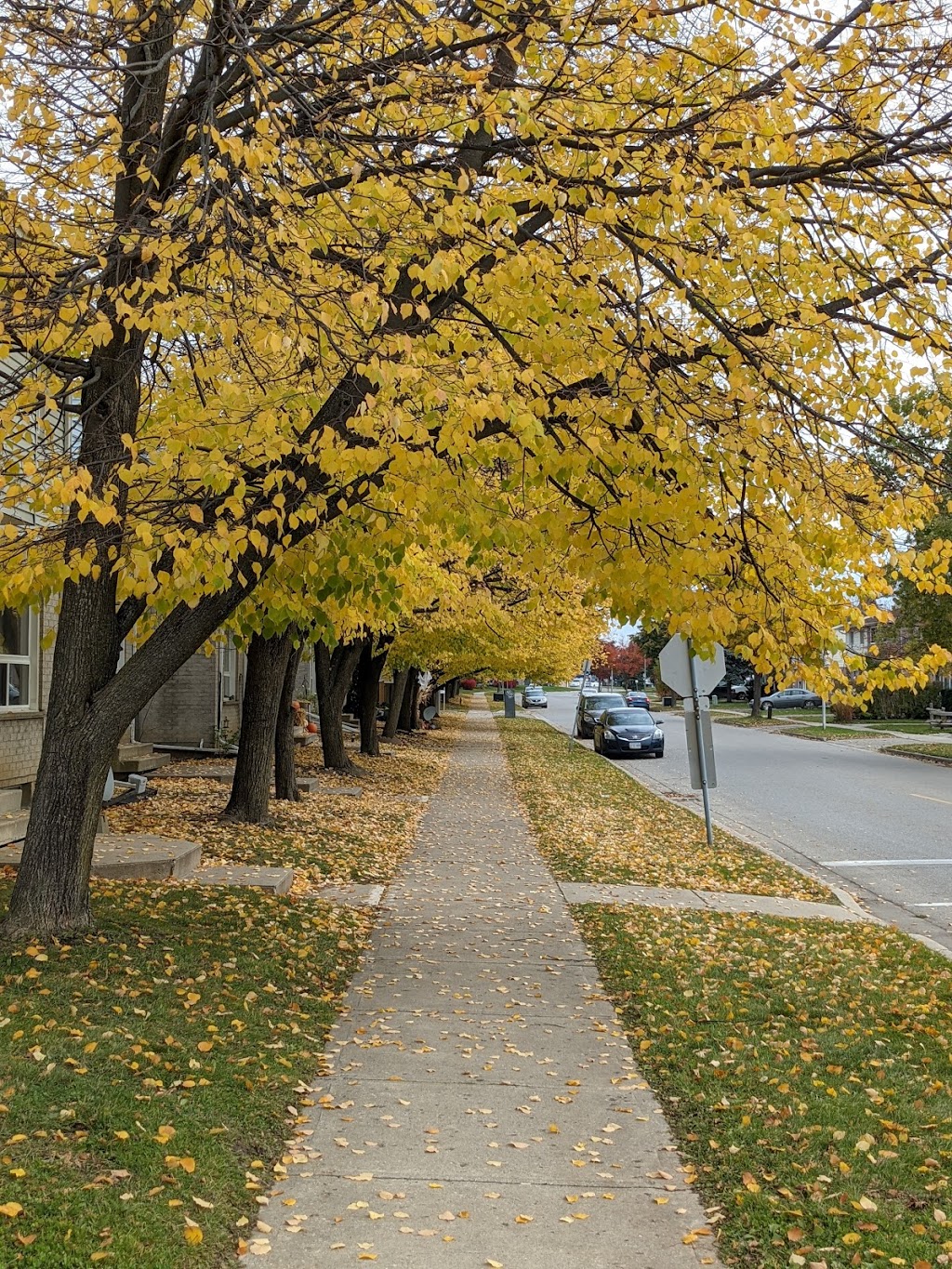 Energy Place Property Management | 557 Southdale Rd E, London, ON N6E 1A2, Canada | Phone: (519) 686-1208