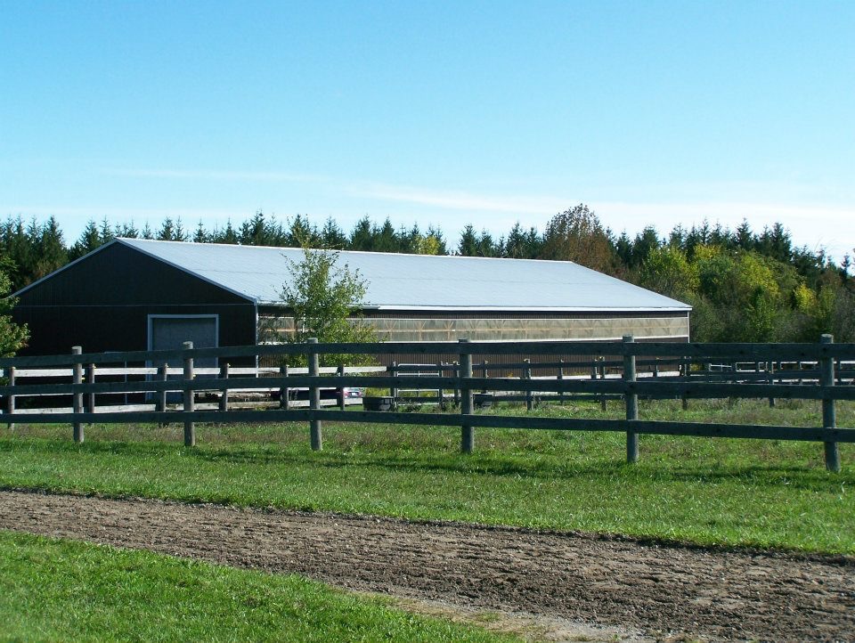 Eddo Hoekstra Dressage | 2833 County Rd 29, Peterborough, ON K9J 6X5, Canada | Phone: (705) 876-9242