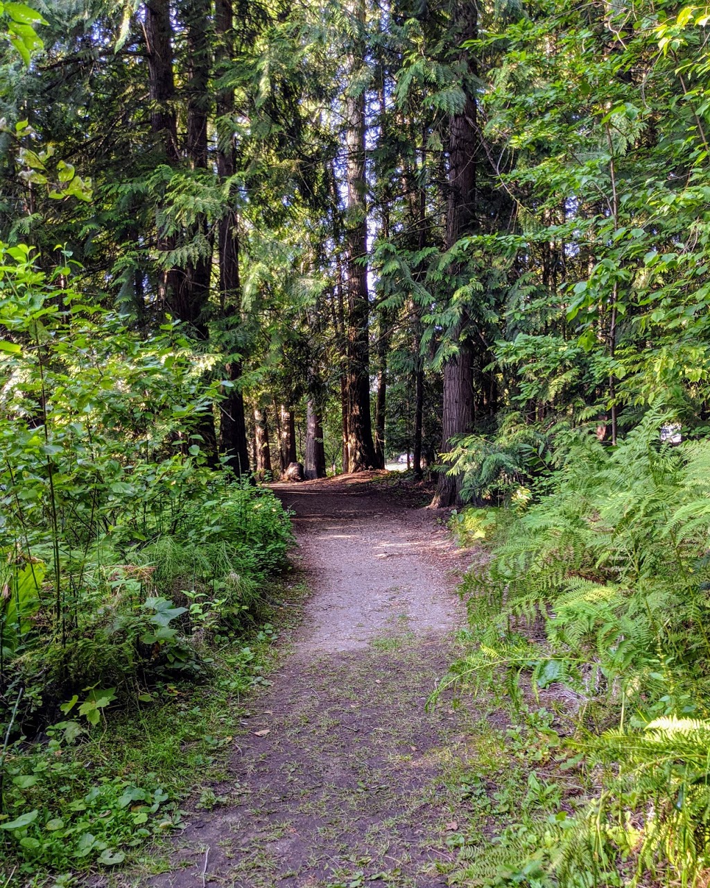 Mara Provincial Park | 8265 Vernon-Sicamous Hwy, Mara, BC V0E 2K0, Canada | Phone: (250) 548-0076