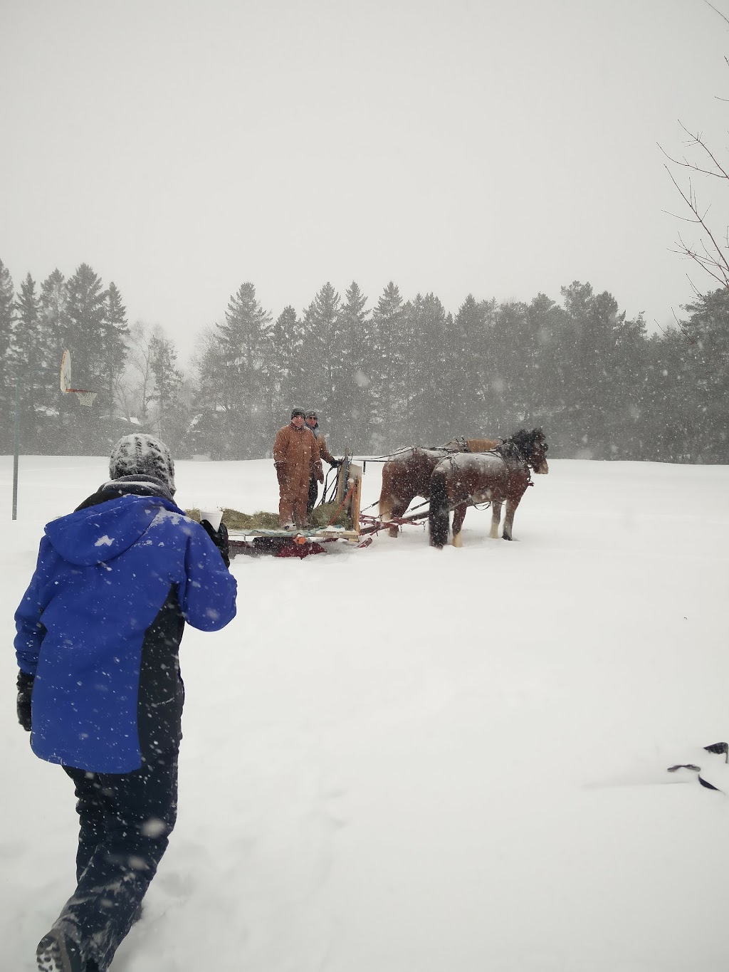 Briargreen Park | Briar Green - Leslie Park, Ottawa, ON K2G, Canada