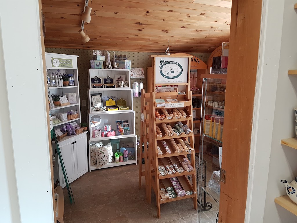 Gift It Gray | 19492 Opeongo Line, Barrys Bay, ON K0J 1B0, Canada | Phone: (613) 756-1832