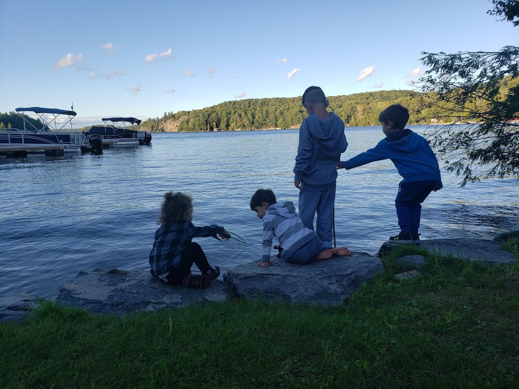 Muskoka Village Harbour and Marina | 1291 Skeleton Lake Road 2, Utterson, ON P0B 1M0, Canada | Phone: (416) 580-0352