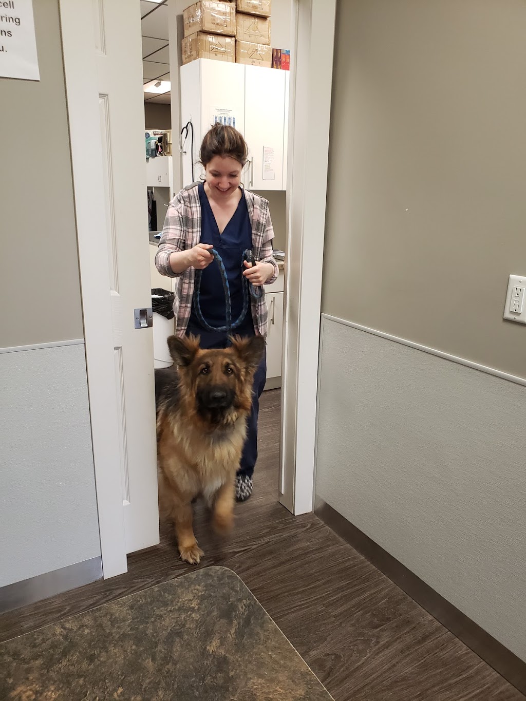 Edmonton Spay and Neuter Clinic | 13667 66 St NW, Edmonton, AB T5C 0B8, Canada | Phone: (780) 756-6062