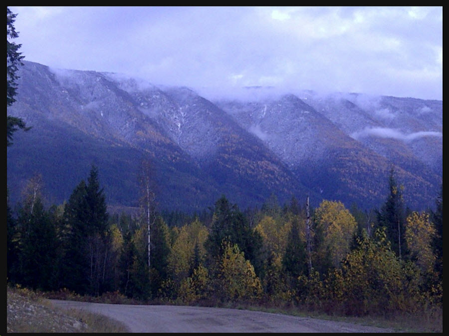 Leeann Herechuk | 1230 Ireland Rd, Seymour Arm, BC V0E 2V2, Canada | Phone: (250) 804-6818