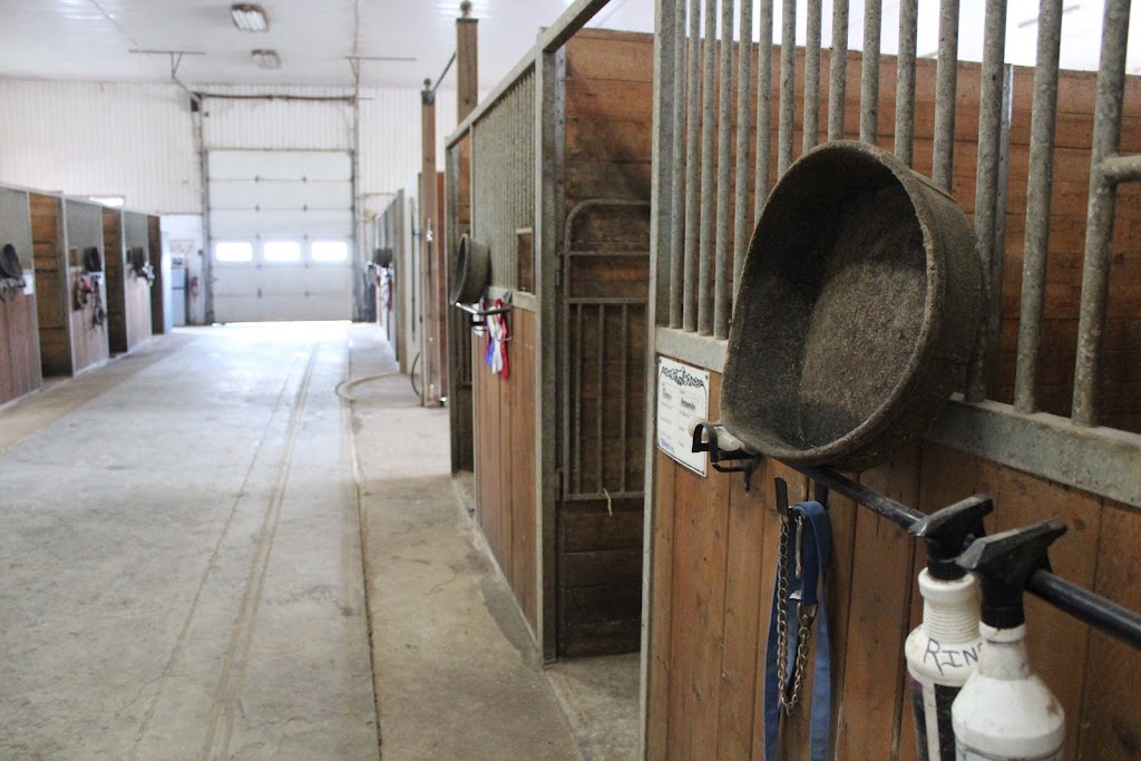 Empire Equestrian | 1267 Haldimand County Hwy 56, York, ON N0A 1R0, Canada | Phone: (905) 973-7611
