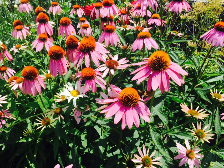 Turkey Point Cottages | 89 Cedar Dr, Turkey Point, ON N0E 1T0, Canada | Phone: (289) 259-3098