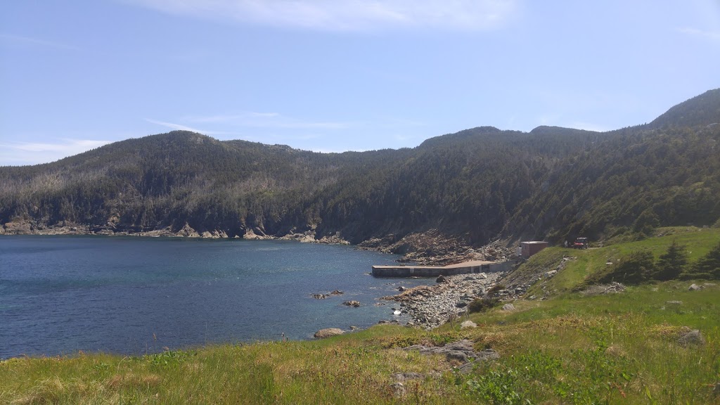 east coast trail | Cripple Cove Loop, Pouch Cove, NL A0A 3L0, Canada