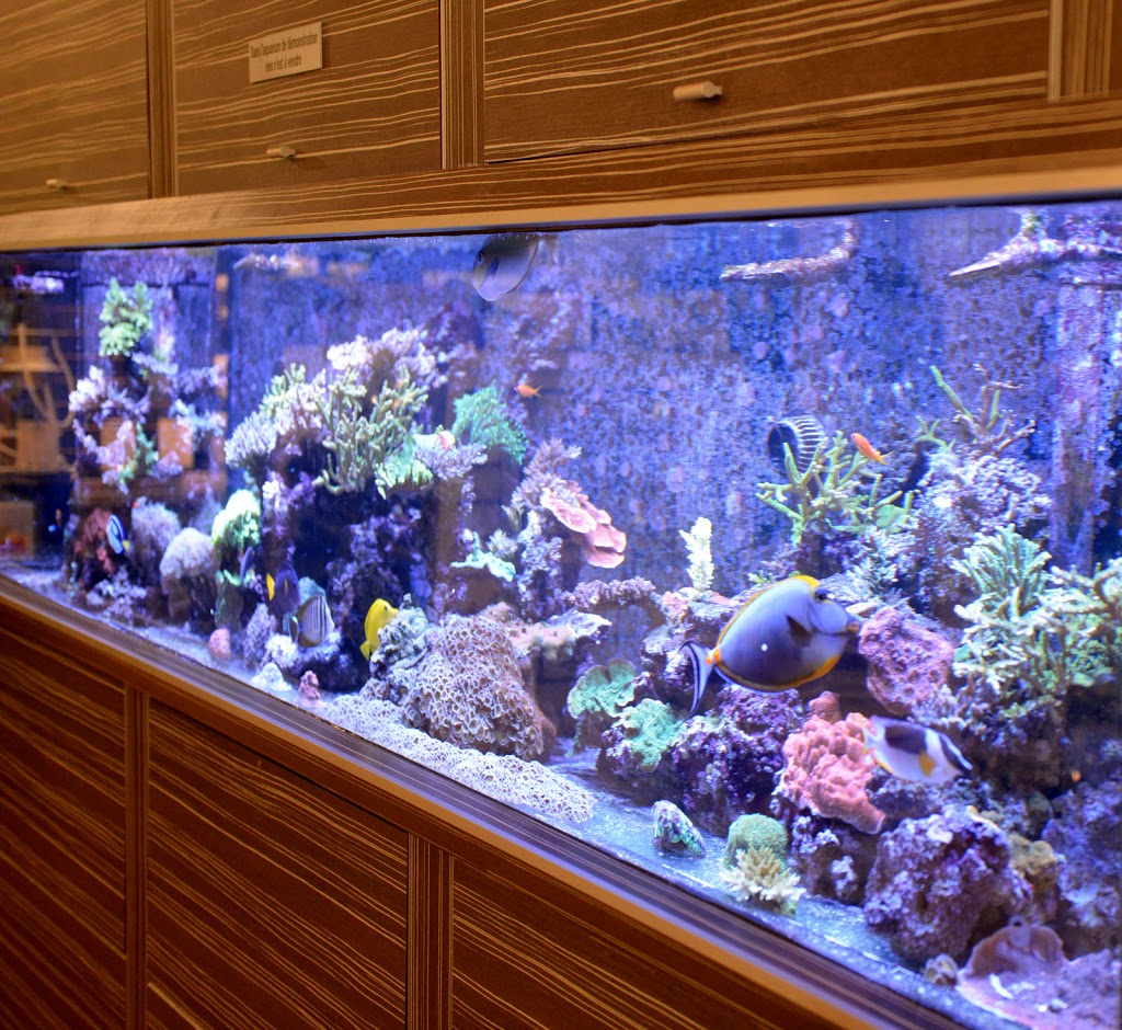 Reef Originae | 75 Boulevard Bastien, Wendake, QC G0A 4V0, Canada | Phone: (418) 842-2702