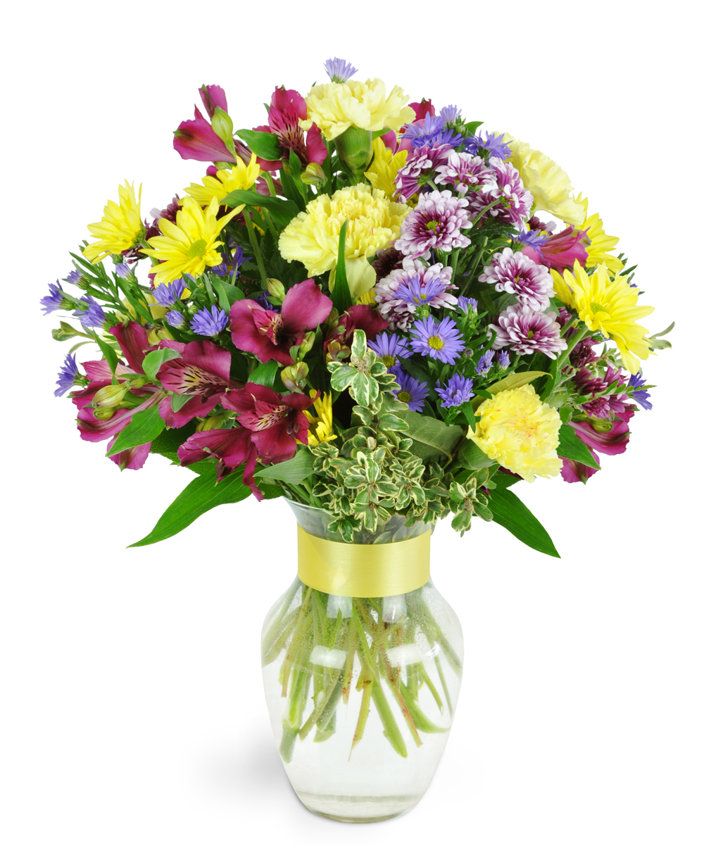 Mostly Roses & Natures Rose Inc. | 6923 Steeles Ave W #58, Etobicoke, ON M9W 6T6, Canada | Phone: (416) 365-7673
