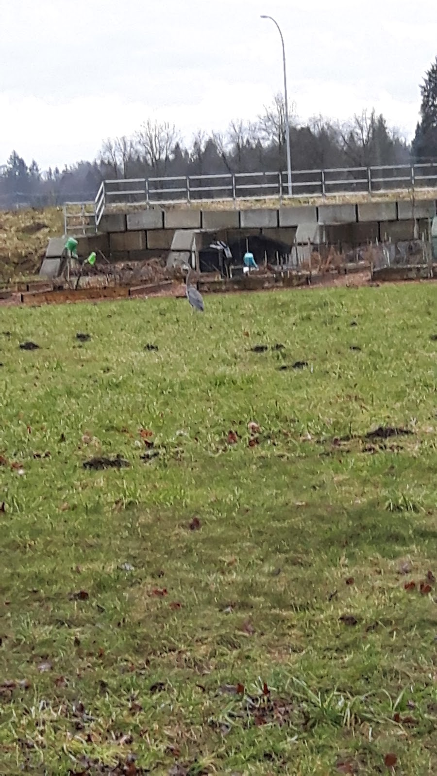 Langley Demonstration Garden | Fraser Hwy, Langley Twp, BC V3A, Canada | Phone: (604) 546-0344