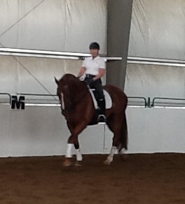 CalgaryDressage.com | 10927 Willowglen Pl SE, Calgary, AB T2J 1R8, Canada | Phone: (403) 968-5455