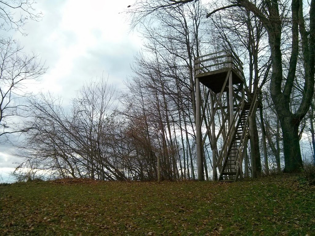 E.M. Warwick Conservation Area | 26135 Warwick Line, Wallacetown, ON N0L 2M0, Canada