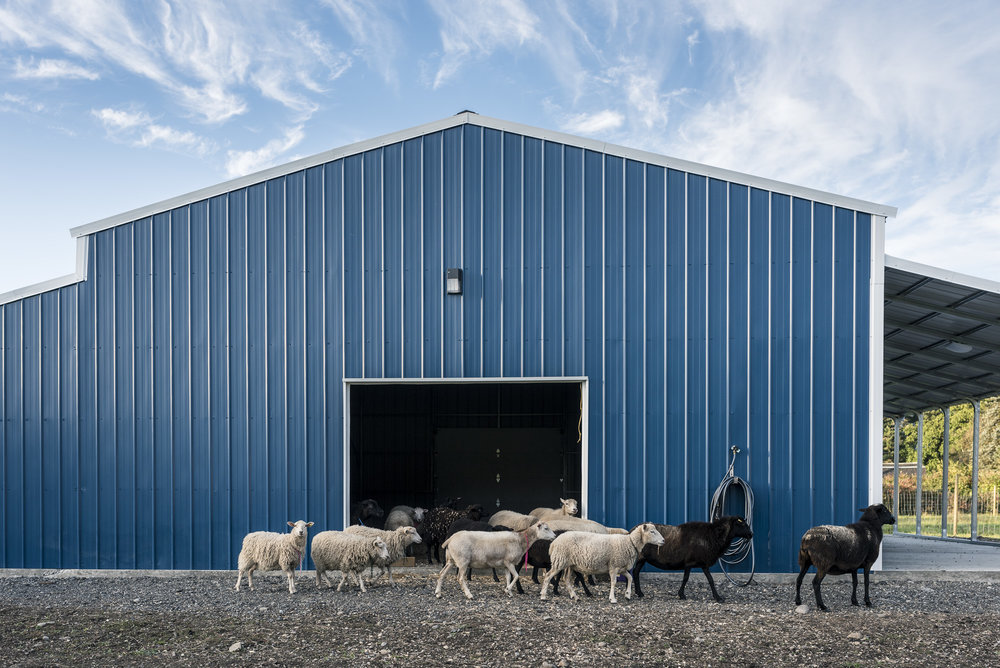 Blue Collar Farm | point of interest | 645 Laurier Ave, Port Coquitlam, BC V3E 3G1, Canada | 6048170130 OR +1 604-817-0130