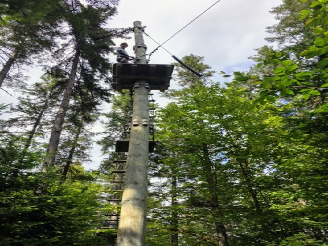 DArbre en Arbre | 435 Chemin Ernest-Martin, Marston, QC G0Y 1G0, Canada | Phone: (819) 583-3965