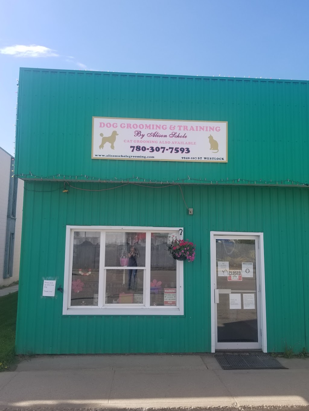 Dog Grooming and Training by Alison Schole | 9940 107 St, Westlock, AB T7P 2K6, Canada | Phone: (780) 307-7593