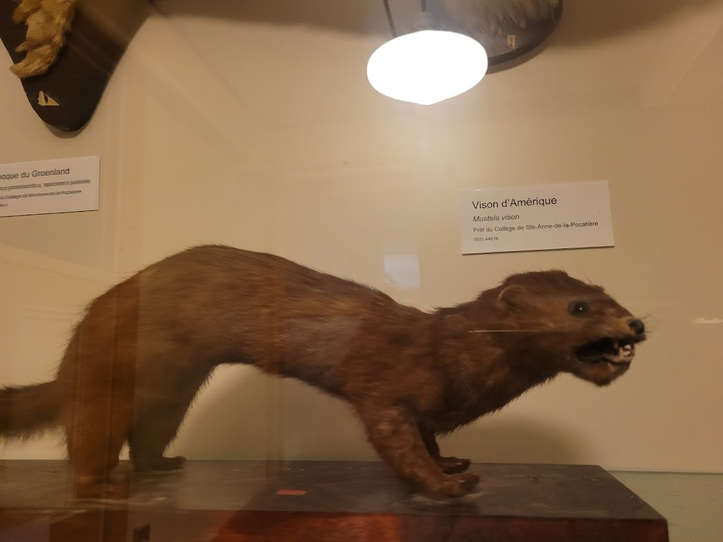 Musée québécois de l’agriculture et de l’alimentation | 100 4e Avenue Painchaud, La Pocatière, QC G0R 1Z0, Canada | Phone: (418) 856-3145