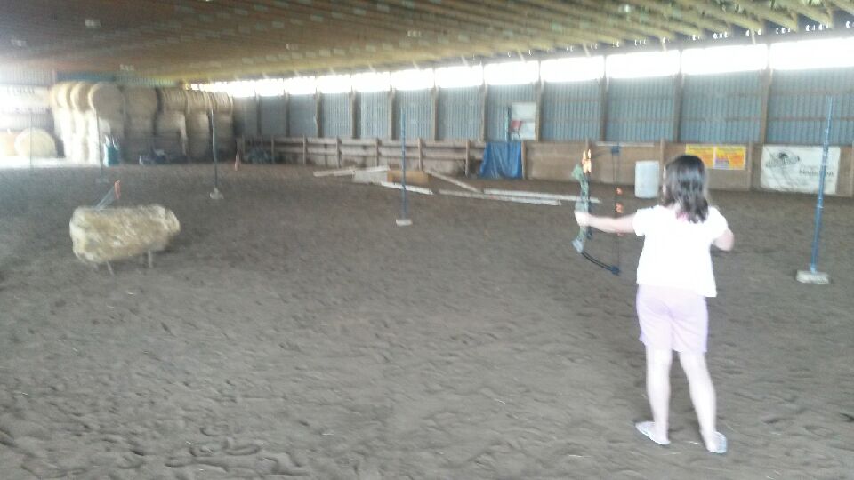 Fox Lair Stables | 843 Concession 1 Rd, Canfield, ON N0A 1C0, Canada | Phone: (905) 774-1373