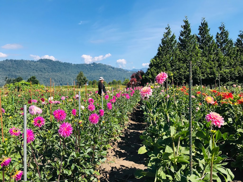 Red Barn Hay Company | 6867 Lickman Rd, Chilliwack, BC V2R 4A9, Canada | Phone: (604) 316-1199