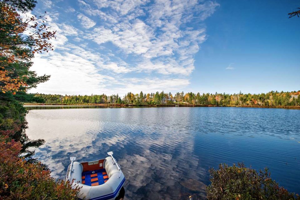 Meghan Todd - Press Realty | 233 Bedford Hwy, Halifax, NS B3M 2J9, Canada | Phone: (902) 880-9671