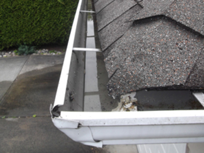 Busy Bee Gutter | 5280 3 Ave, Delta, BC V4M 1E7, Canada | Phone: (604) 788-3991