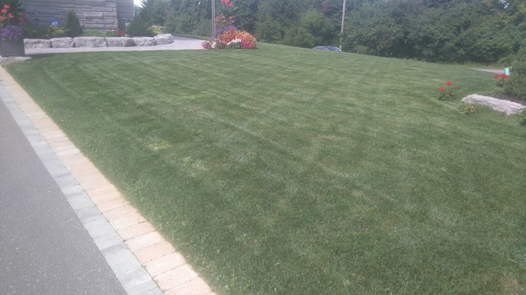 Scottspropertyservices | 106 Cromwell Ave, Oshawa, ON L1J 4T6, Canada | Phone: (905) 924-1975