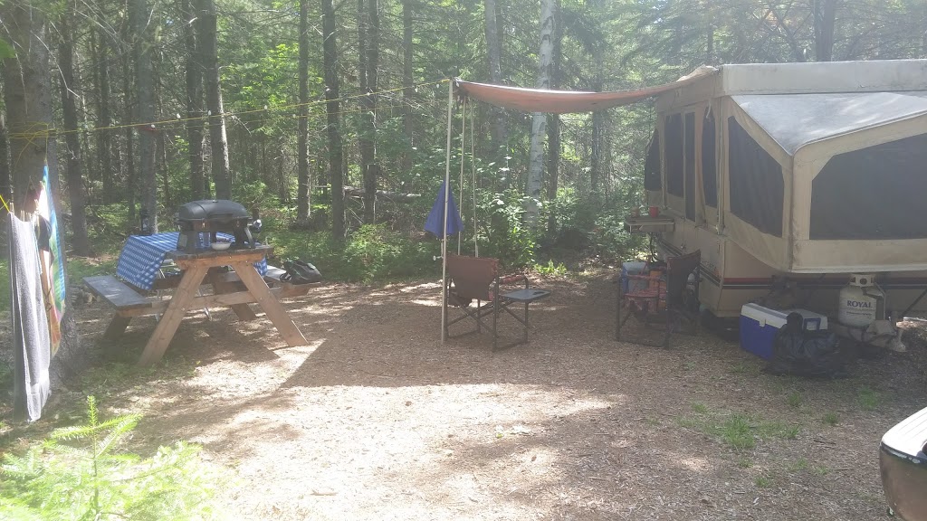 Miramichi Treehouse & Camping Adventures | 116 N Black River Rd, Black River Bridge, NB E1N 5S4, Canada | Phone: (506) 773-6252