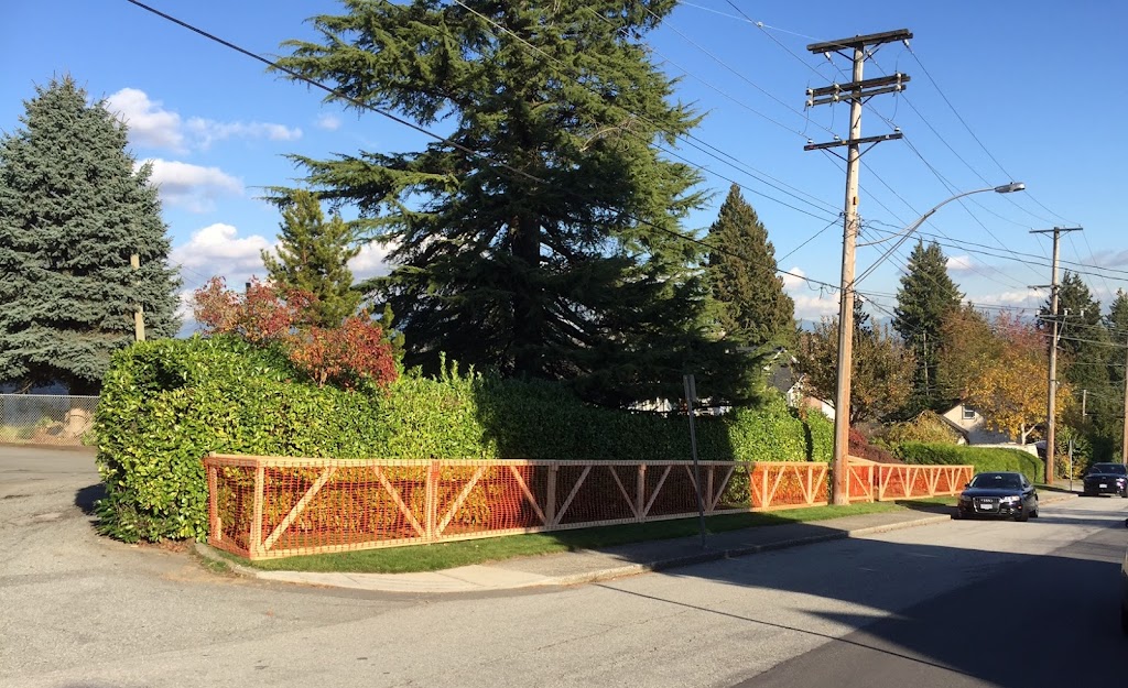 Trapp Arborist Services | 7321 Halifax St #1106, Burnaby, BC V5A 4R5, Canada | Phone: (604) 700-9030