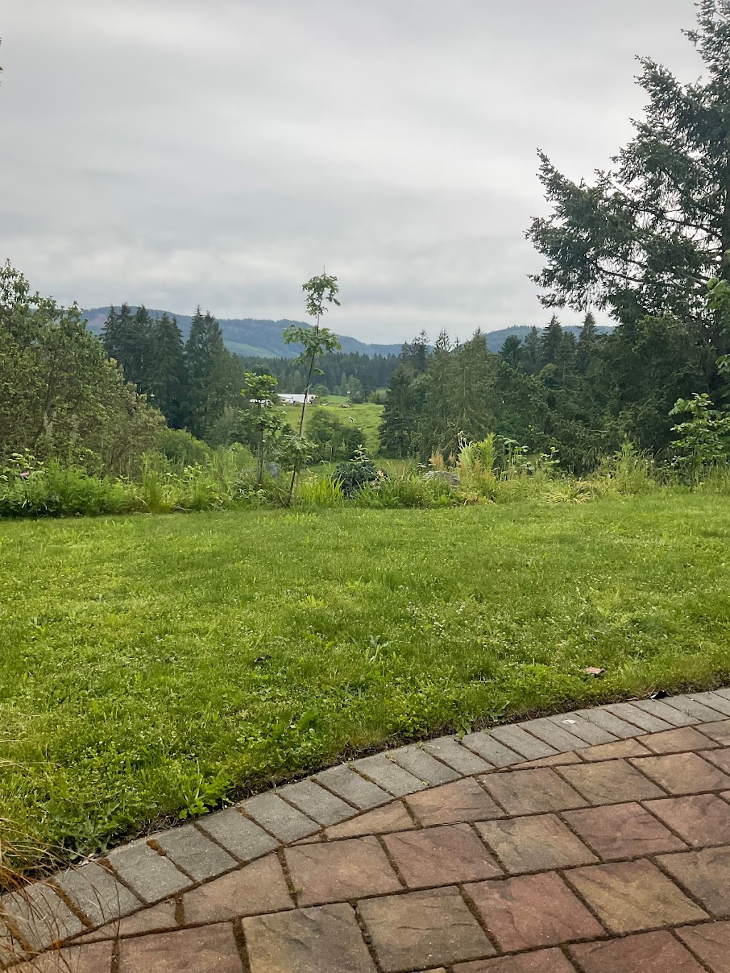 A Cut Above Landscaping | 6715 Somenos Rd, Duncan, BC V9L 5Z3, Canada | Phone: (250) 746-9744