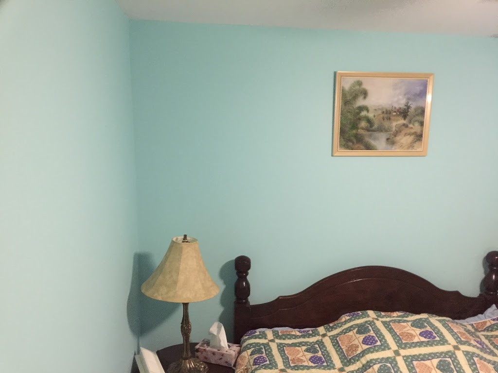 Burwell Painting Services | 53793 Vienna Line, Port Burwell, ON N0J 1T0, Canada | Phone: (289) 380-8666