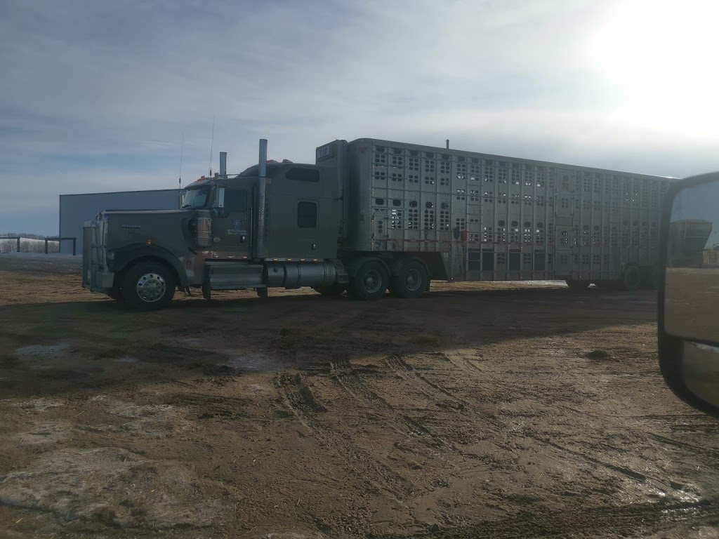 TJF Farm & Transport Inc | Unnamed Road, Alvena, SK S0K 0E0, Canada | Phone: (306) 371-7275