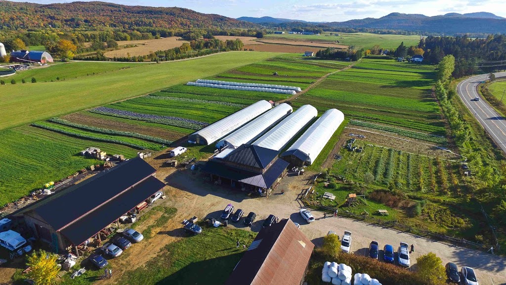 Ferme aux petits oignons | 515 Chemin de Brébeuf, Mont-Tremblant, QC J8E 2E1, Canada | Phone: (819) 681-7303