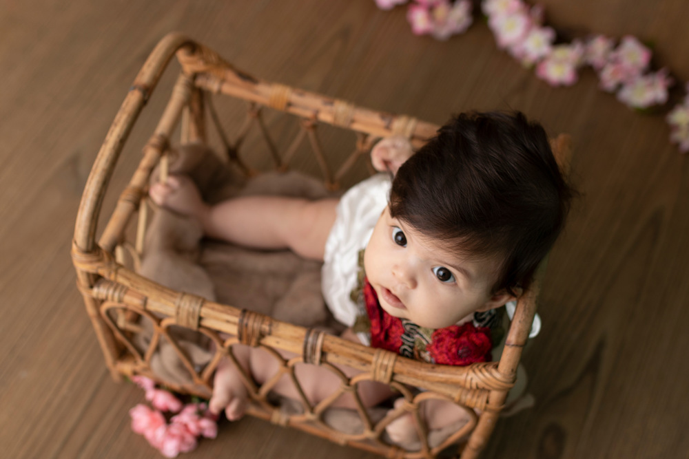 Little Fox Photography | 16 Grenoble Rd, Hamilton, ON L9C 6K6, Canada | Phone: (647) 447-2532