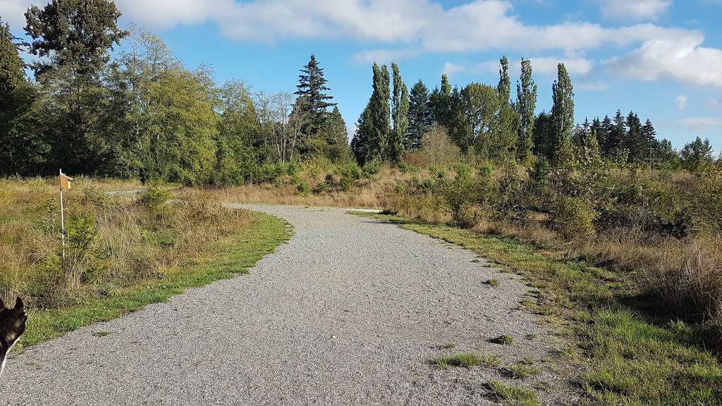 McLeod Park | 6306 140 St, Surrey, BC V3W 0E9, Canada | Phone: (604) 501-5050
